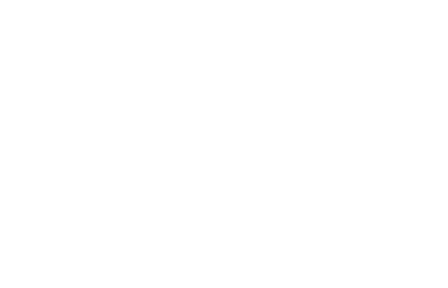 2017 SSAT