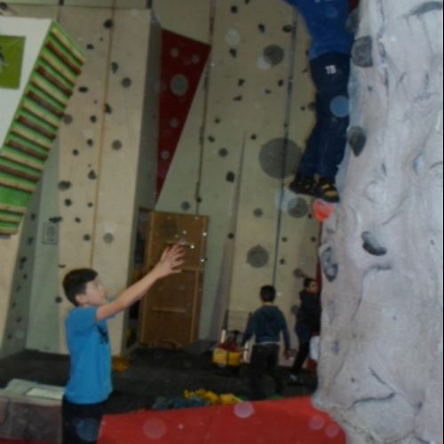 SAM_0455