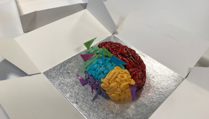3D Brain Work
