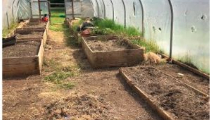 Poly-tunnel unearthed by geography department!